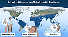 Nobel Prize for Noble Causes