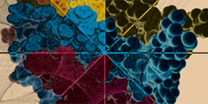 Better Bioanalytics = Better Bioprocesses