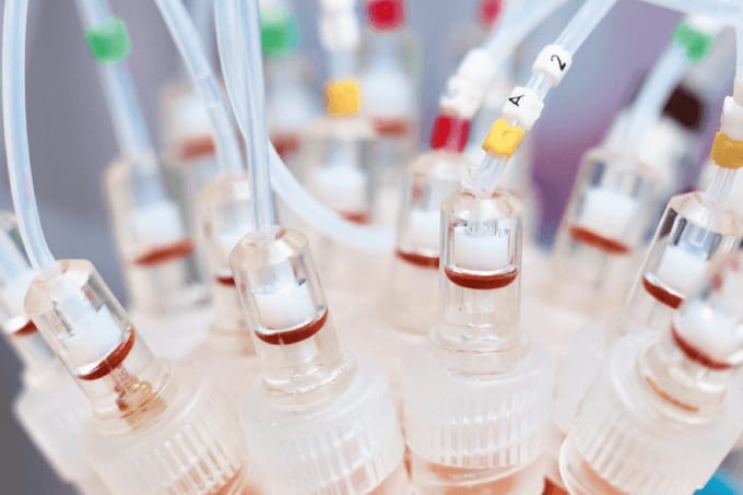 Transgenic Drug Discovery
