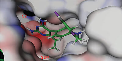 Binding thermodynamics of substituted diaminopyrimidine renin inhibitors