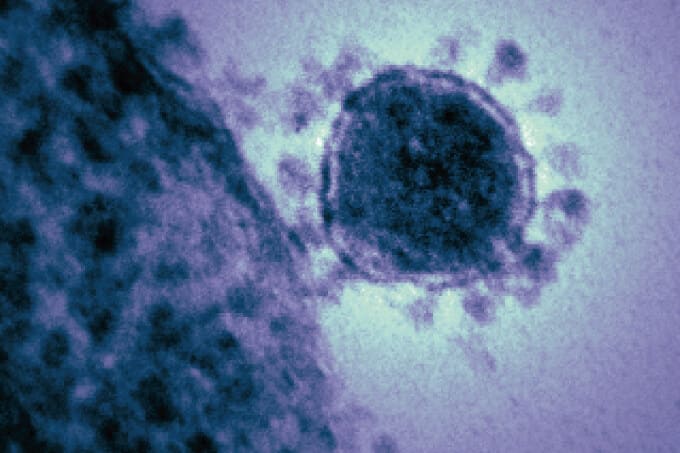 Combating Coronavirus