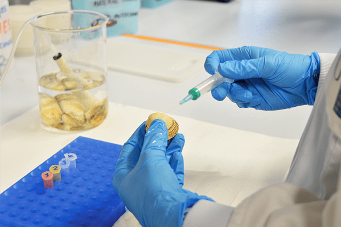 T Cells, Sea Shells and Cancer Cures
