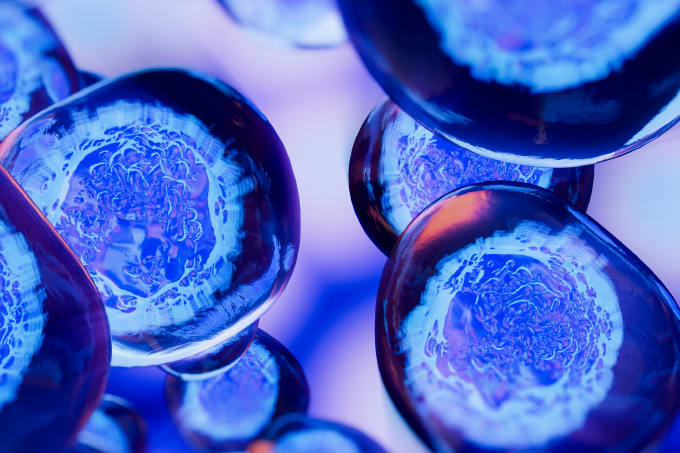 Meet the California Institute Pushing Stem Cell & Gene Therapy Research: Part 3