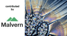 Nanoparticle Tracking Analysis: Principles and Methodology