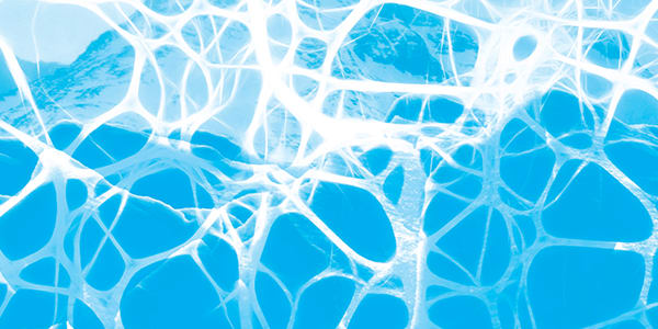 Bringing Alzheimer’s in from the Cold