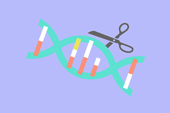 Gene Editing Primed for Success