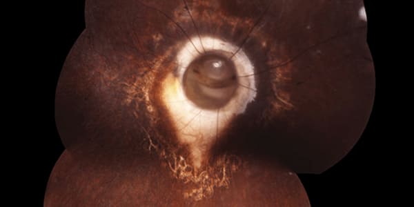 Image of the Month