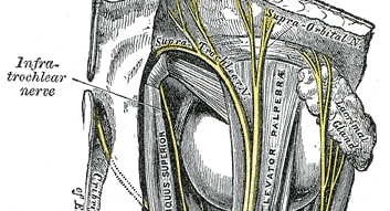 Minimally Invasive, Maximally Successful