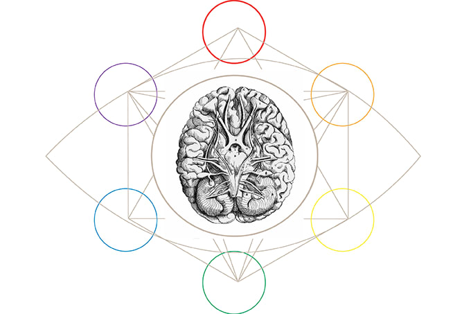 The Cerebral Window