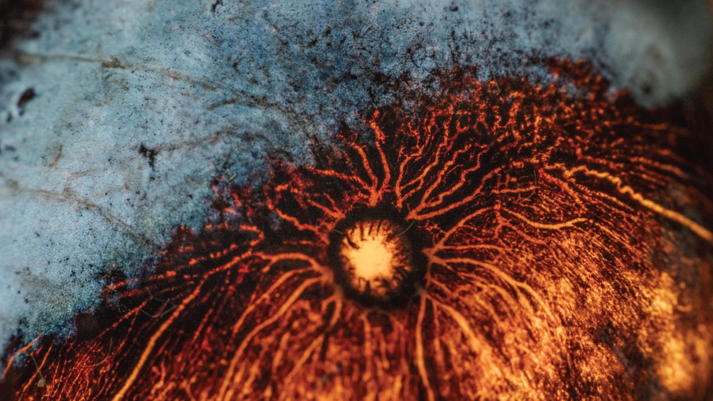 The Art of Ophthalmology 2026