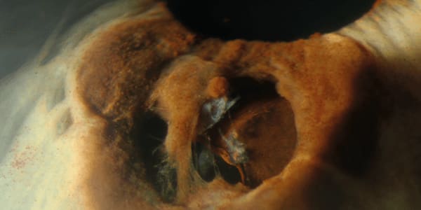 Image of the Month