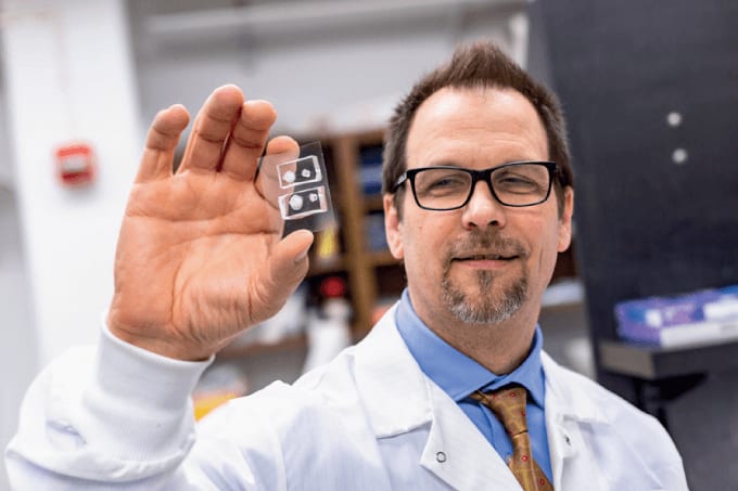 Bitesize Breakthroughs