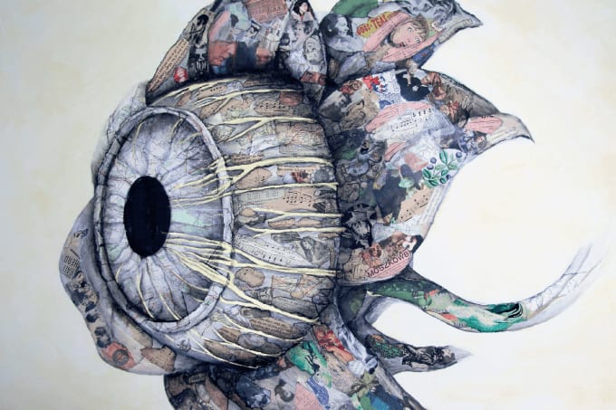 Anything but the Eyes