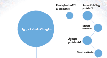 Analyzing the AMD Proteome