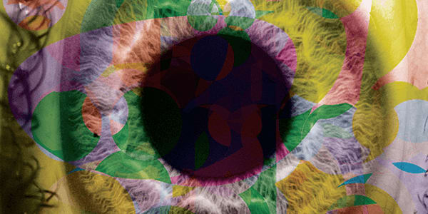 Minimally Invasive Corneal Neurotization