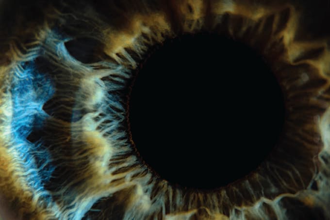 Cyclosporine Conclusions… and Other News
