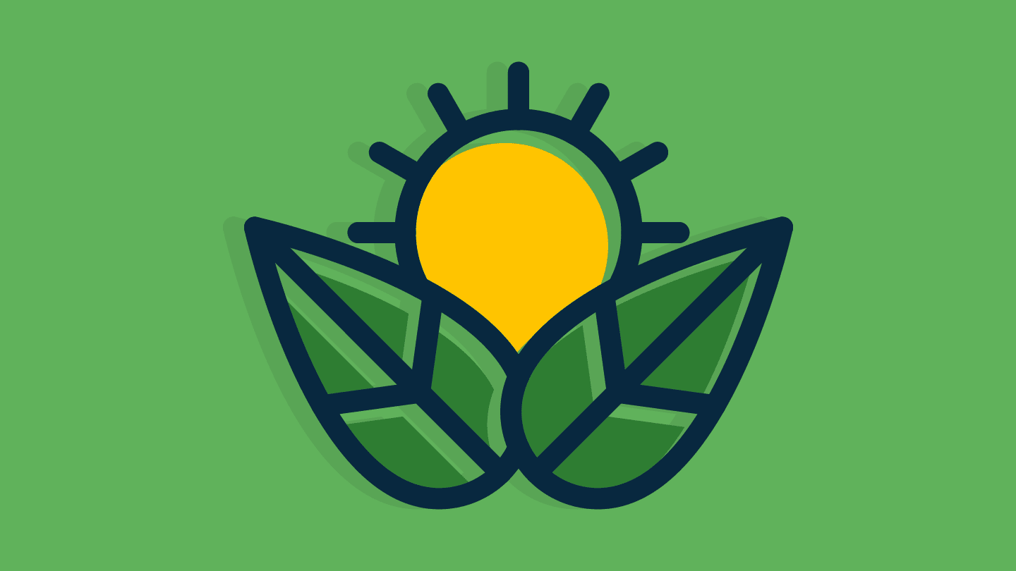 Photosynthesis Comes to the Cornea