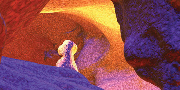 Image of the Month