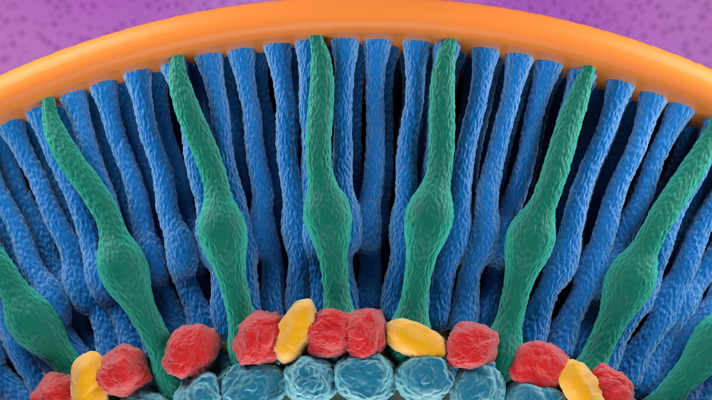 Zooming in on Glaucoma
