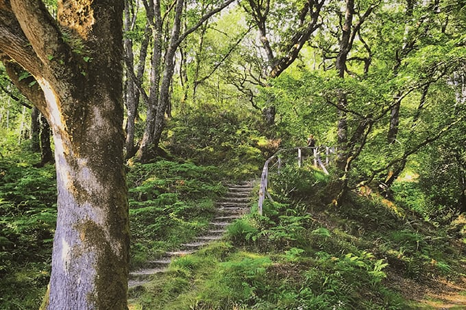 Clearing the Path