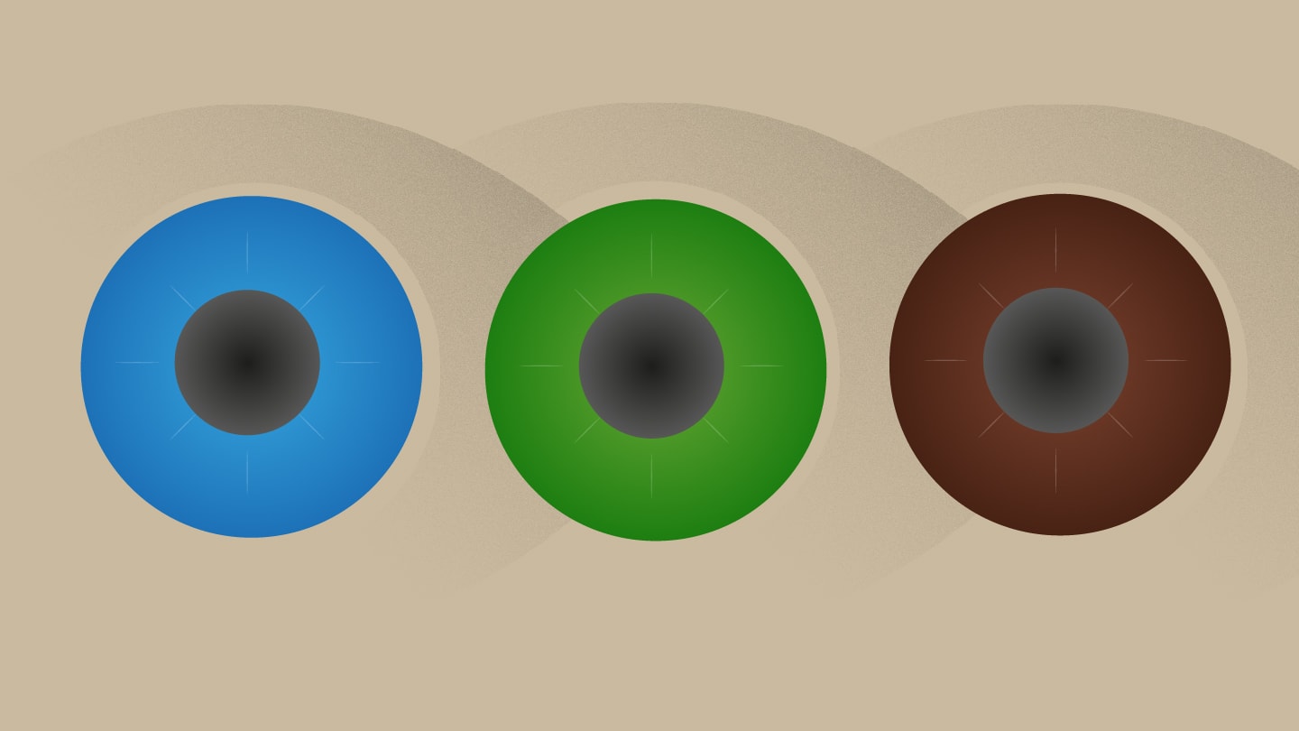 Debunking Myths in Eye-Brain Health