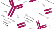 The BMJ Bevacizumab Brouhaha