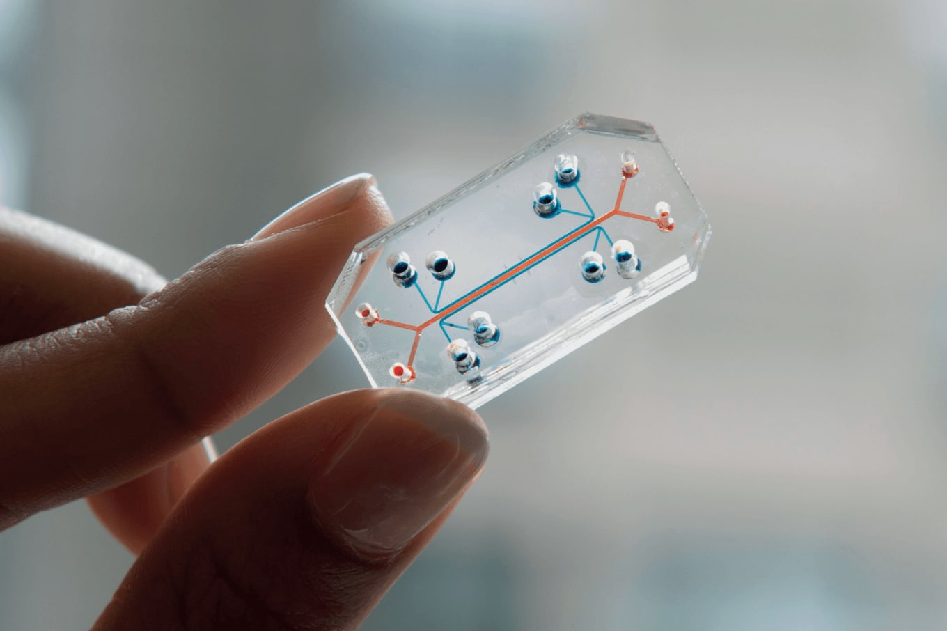 Retina on a Chip