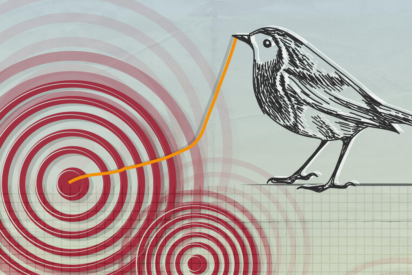 The Early Bird Catches the Complexity