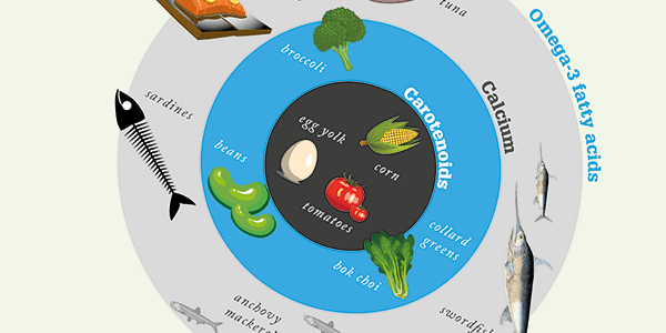 Eat to Beat AMD