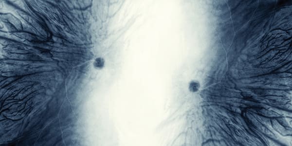 Image of the Month