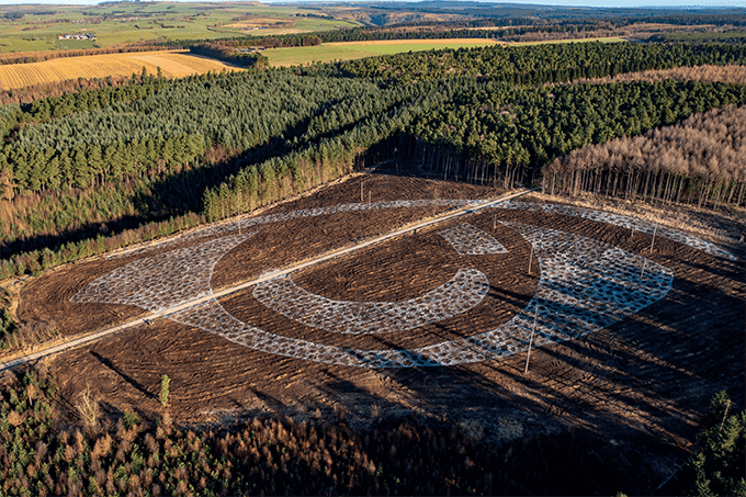 Image of the Month: See the Forest for the Trees