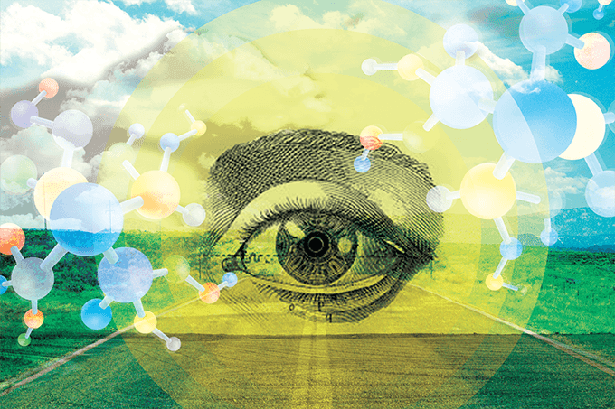 The Road to Regeneration