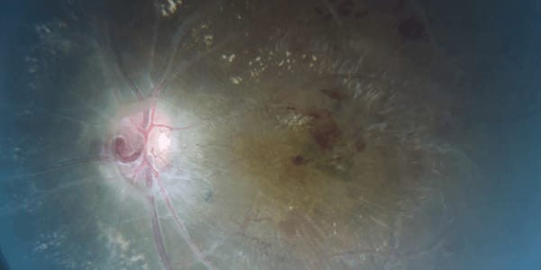 Image of the Month