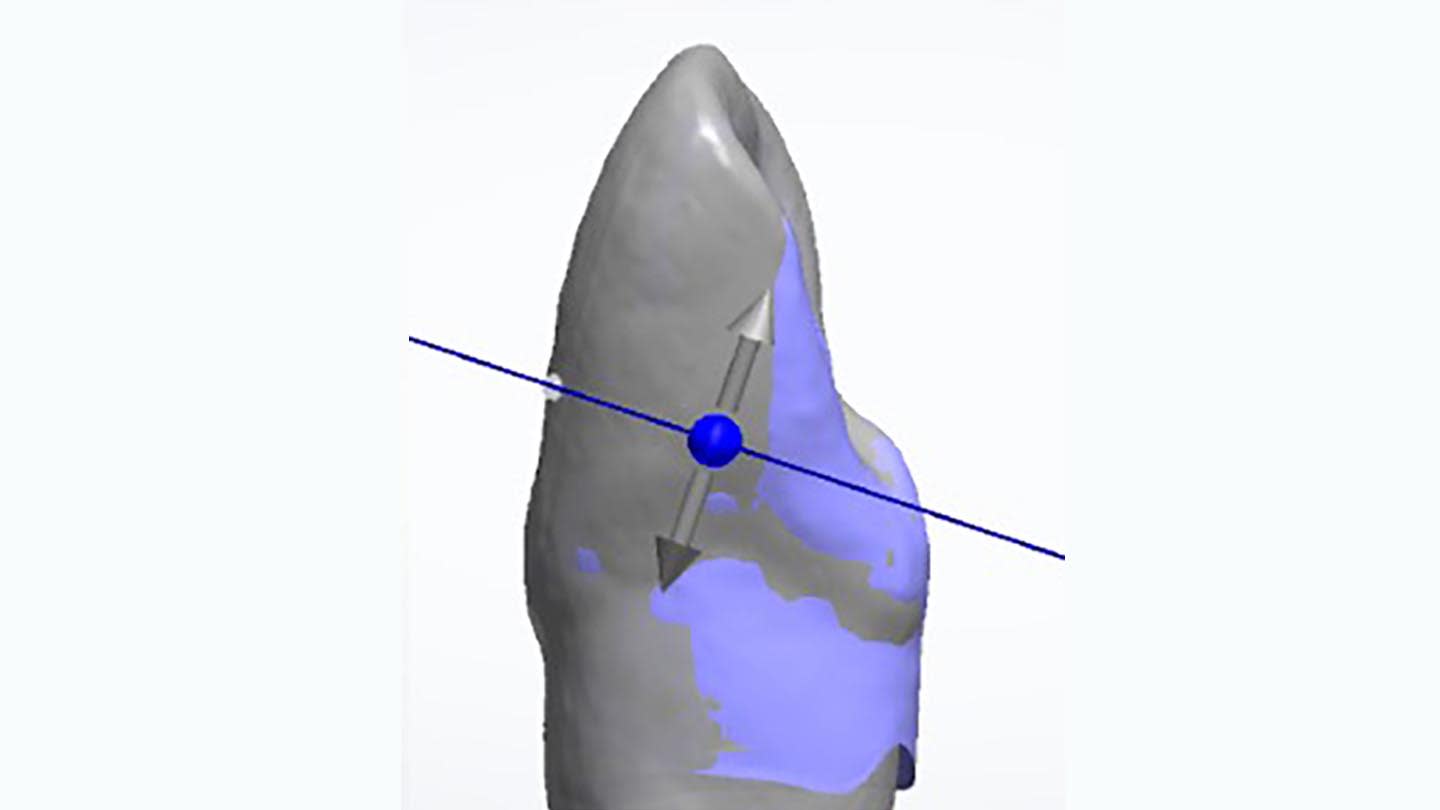 Figure 6C