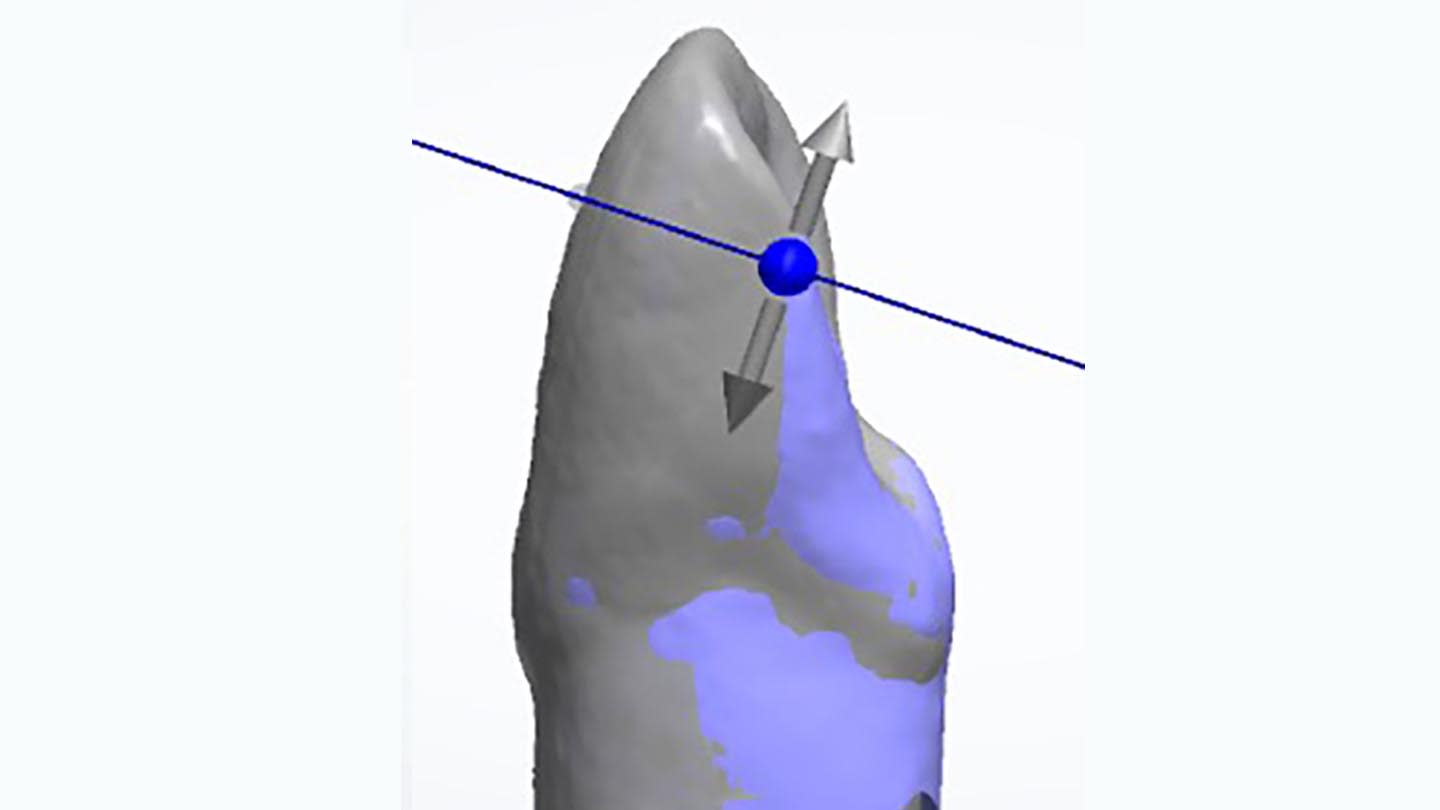 Figure 6E