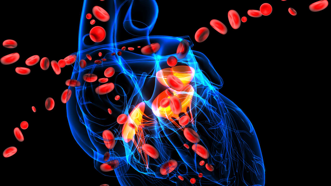 Bicuspid Aortic Valves and Big Aortas; What is the Big Fuss?