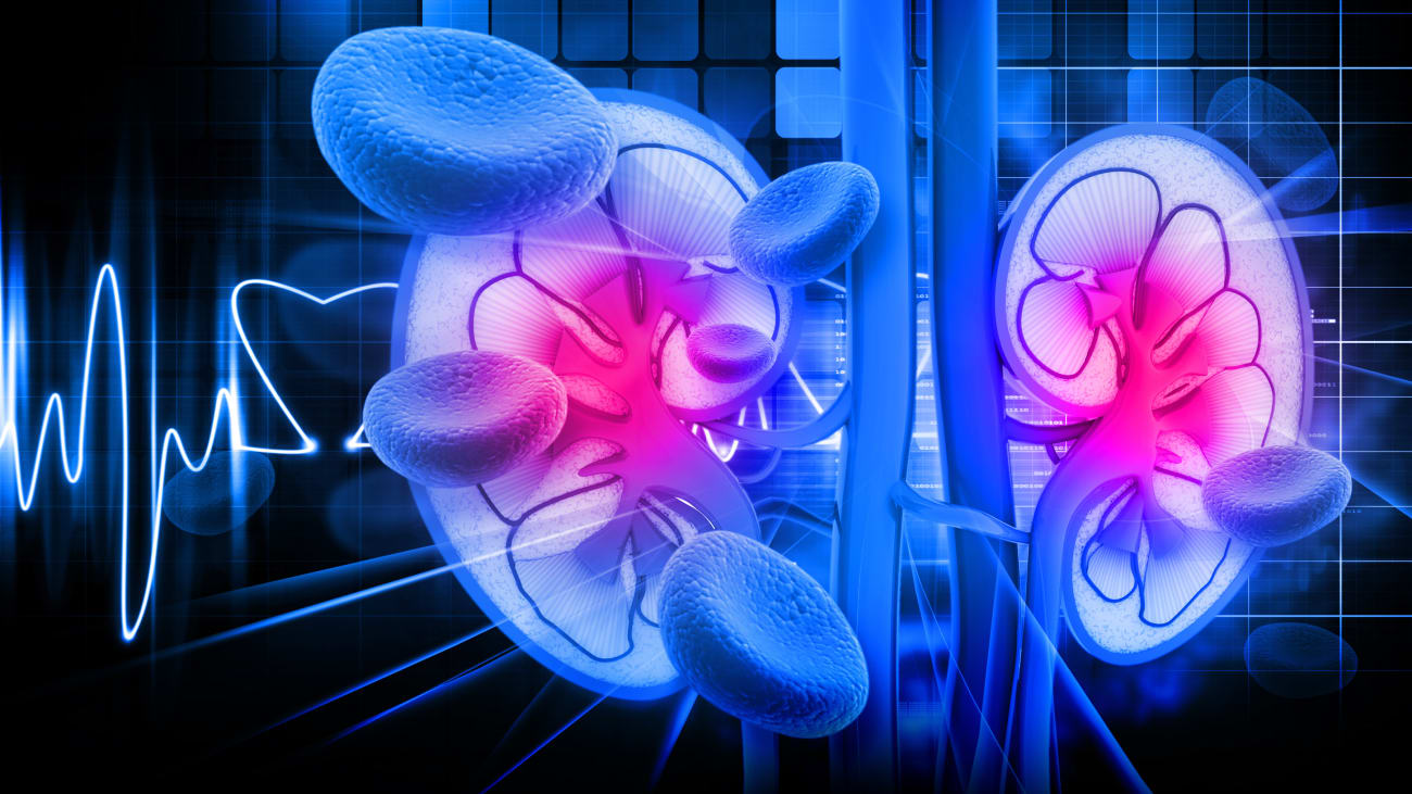 Post-Transplant Immunosuppression Strategies and Updates