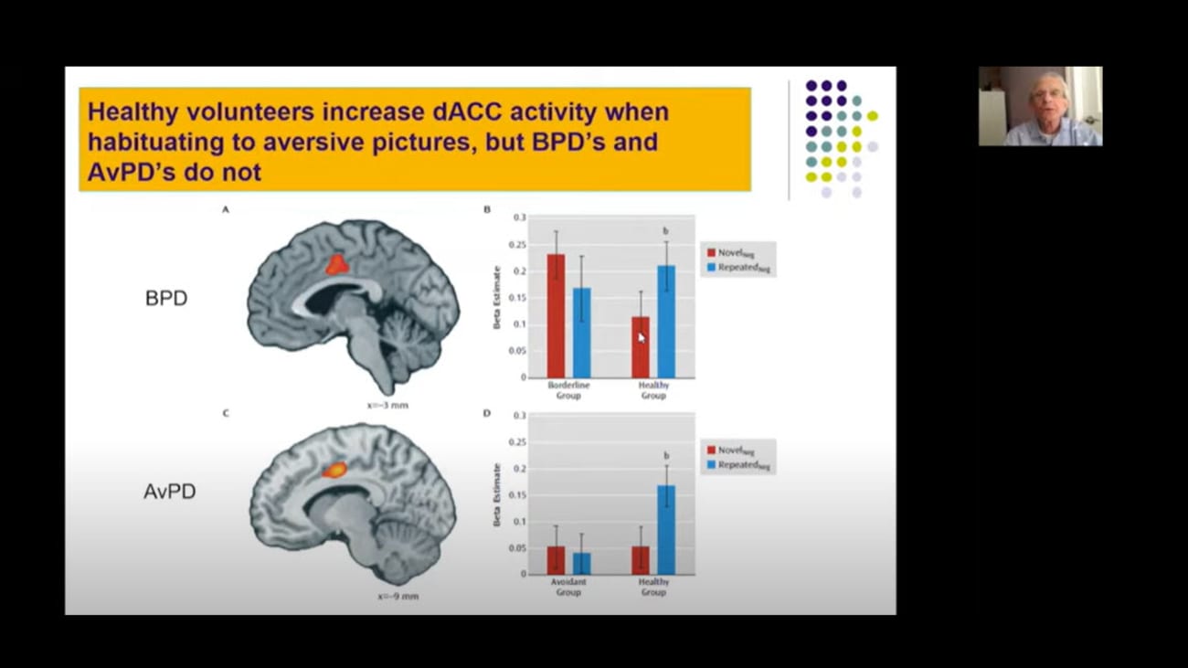 Borderline Personality Disorder: Neurocorrelates of the Social Emotional and Behavioral Disturbances