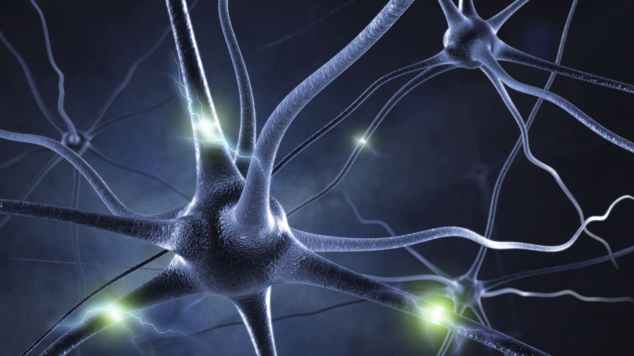 50+ Years of Human Single Neuron Recording: The UW Experience with Epilepsy and Cognition