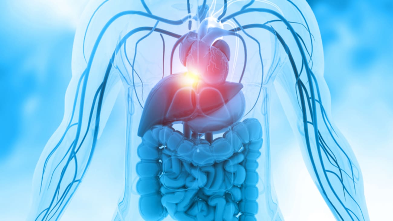 Inhibiting Innate Immunity with Novel Nanobiologics to Reverse Acute TCMR