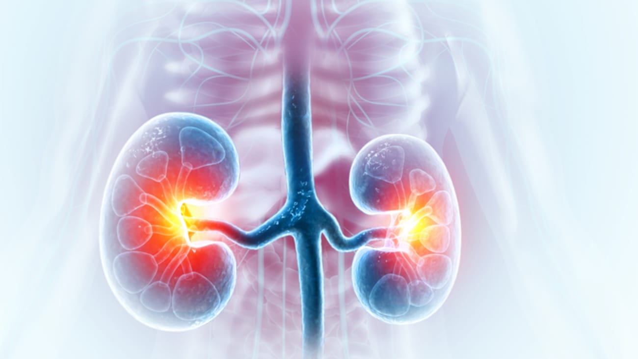 Kidney Transplant Symposium