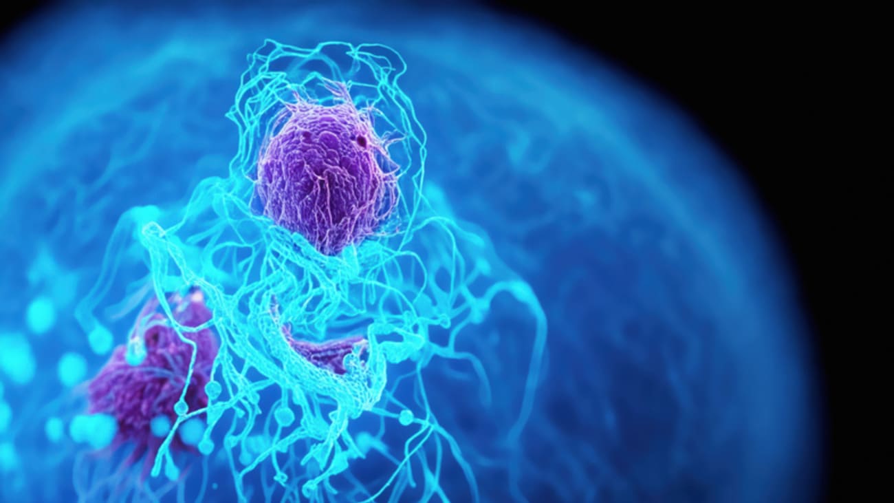 Updates in Transplant Oncology