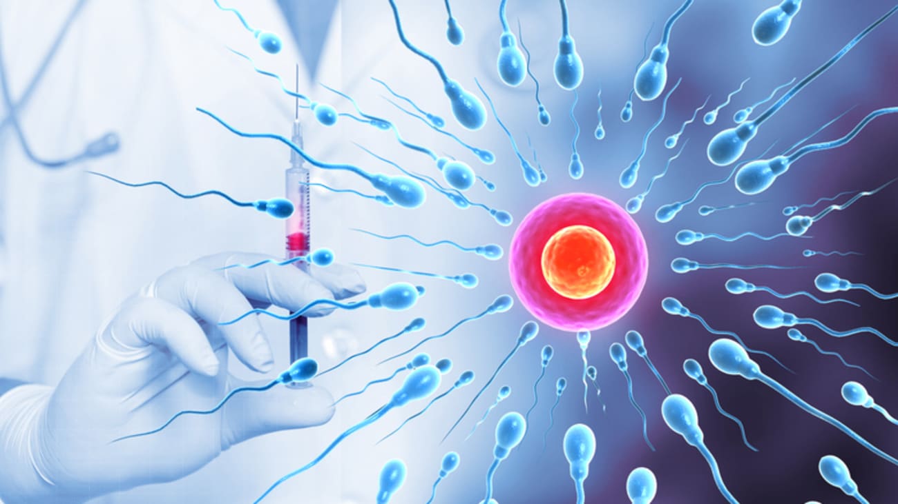 Age-Related Infertility Care and Counseling