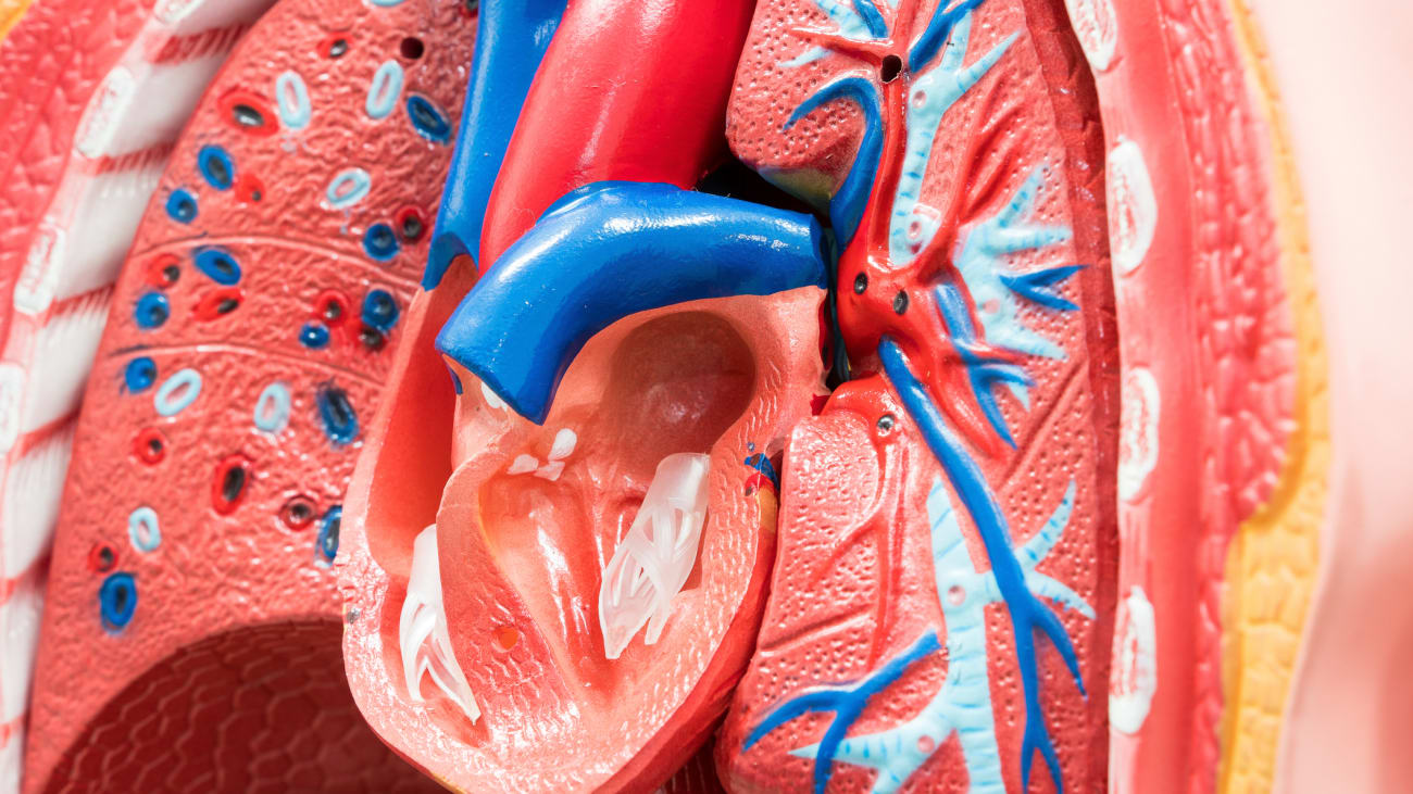 Left Atrial Appendage Closure for Atrial Fibrillation: The End of Warfarin?