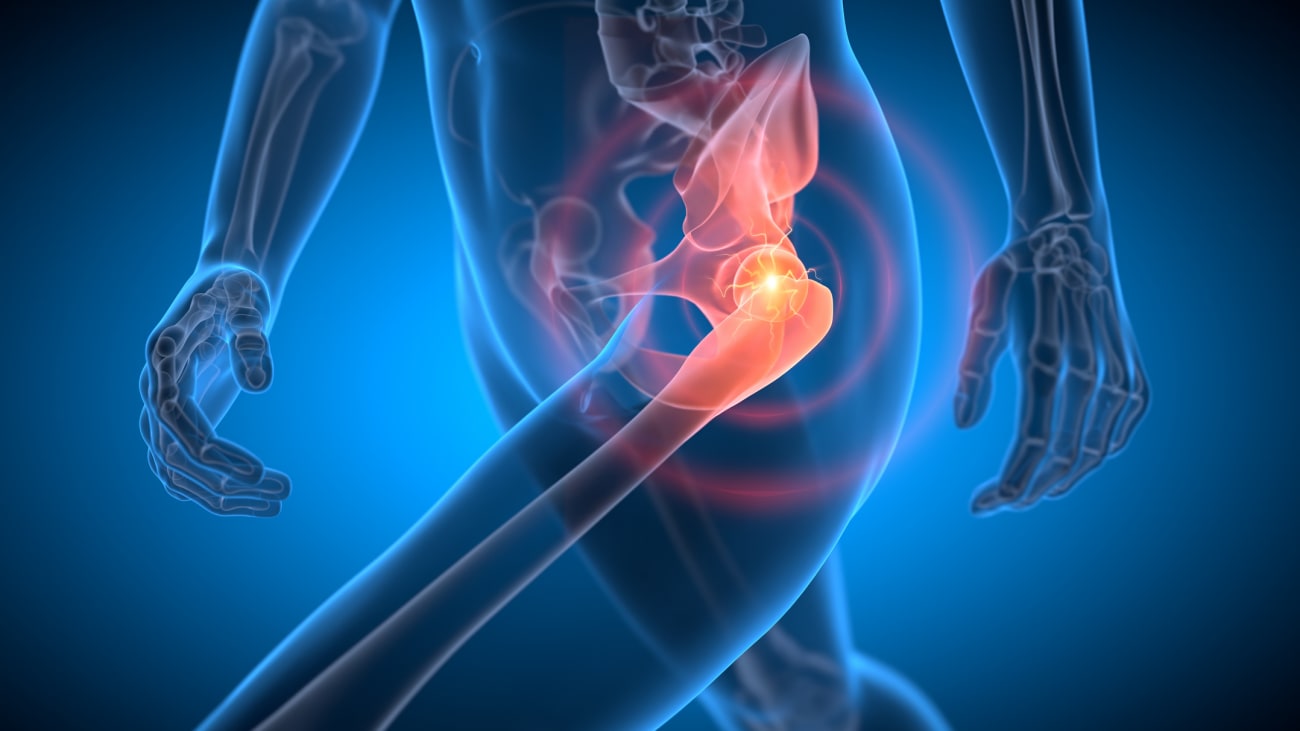 Physical Examination of the Hip and Spine 
