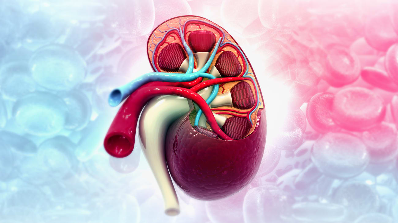 Kidney Transplantation at Ohio State BroadcastMed