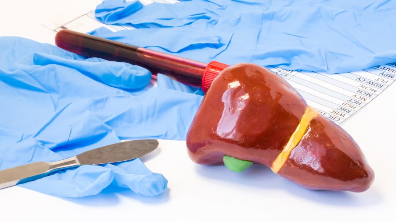 Pediatric Liver Transplant Johns Hopkins Medicine