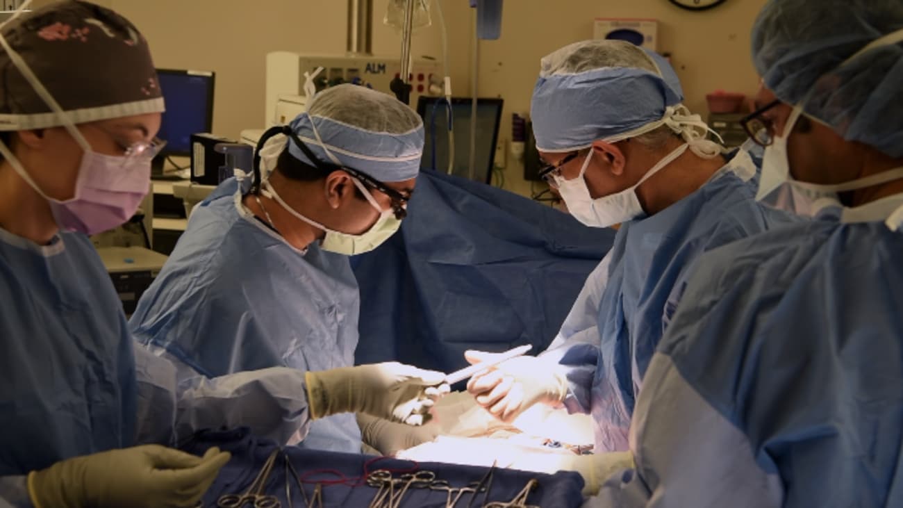 A New Kind of Kidney Chain The Medical University of A New Kind of Kidney Chain The Medical University of