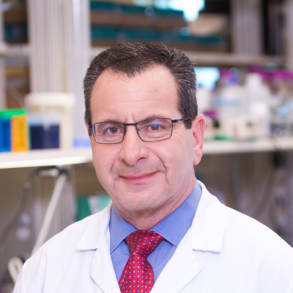 Bruce Kava, M.D., MSCTI