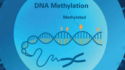 Rapid Epigenetic Test Could Speed Diagnostics for Acute Leukemias